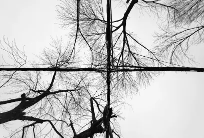 Billion Casino Aip Soghluaiste